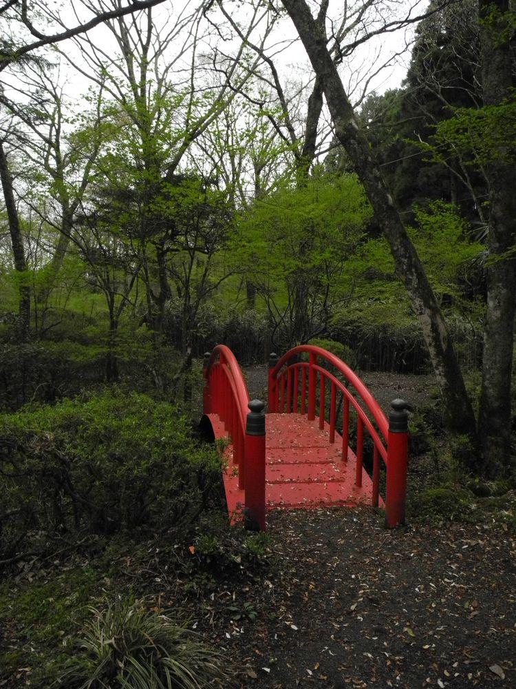 rote Brücke Mitten im Wald von rosenblume75 