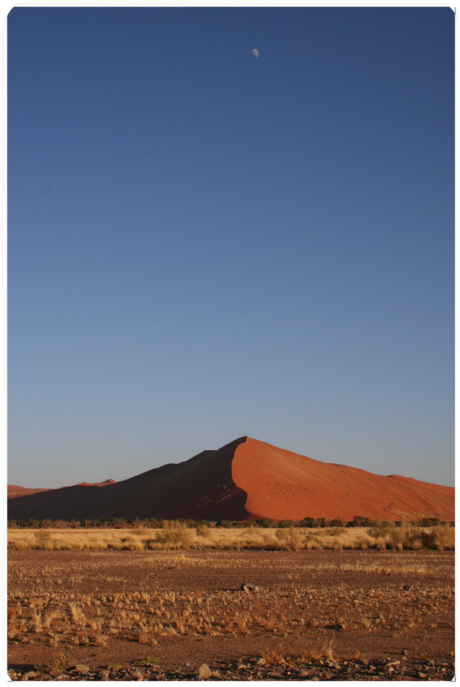 Rote Düne im Sossusvlei NP, Namibia