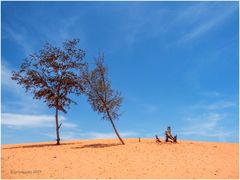 rote dünen......