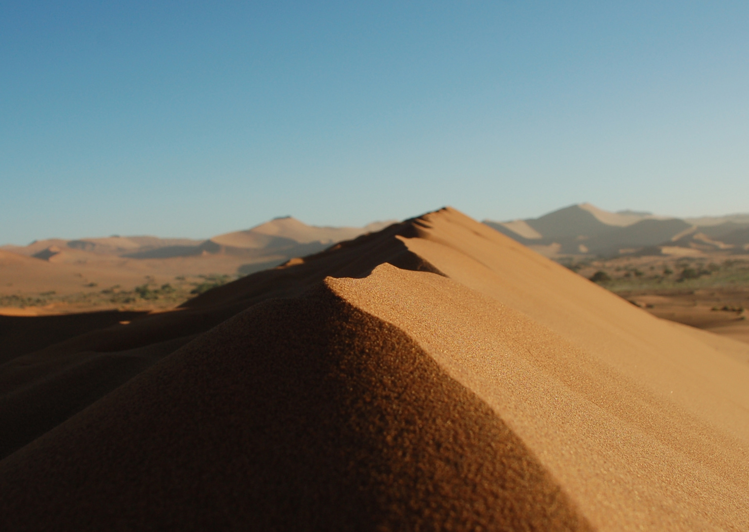 Rote Dünen in der Namib