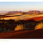 Rote Dünen vor dem Tiras Gebirge im sanften frühen Morgenlicht