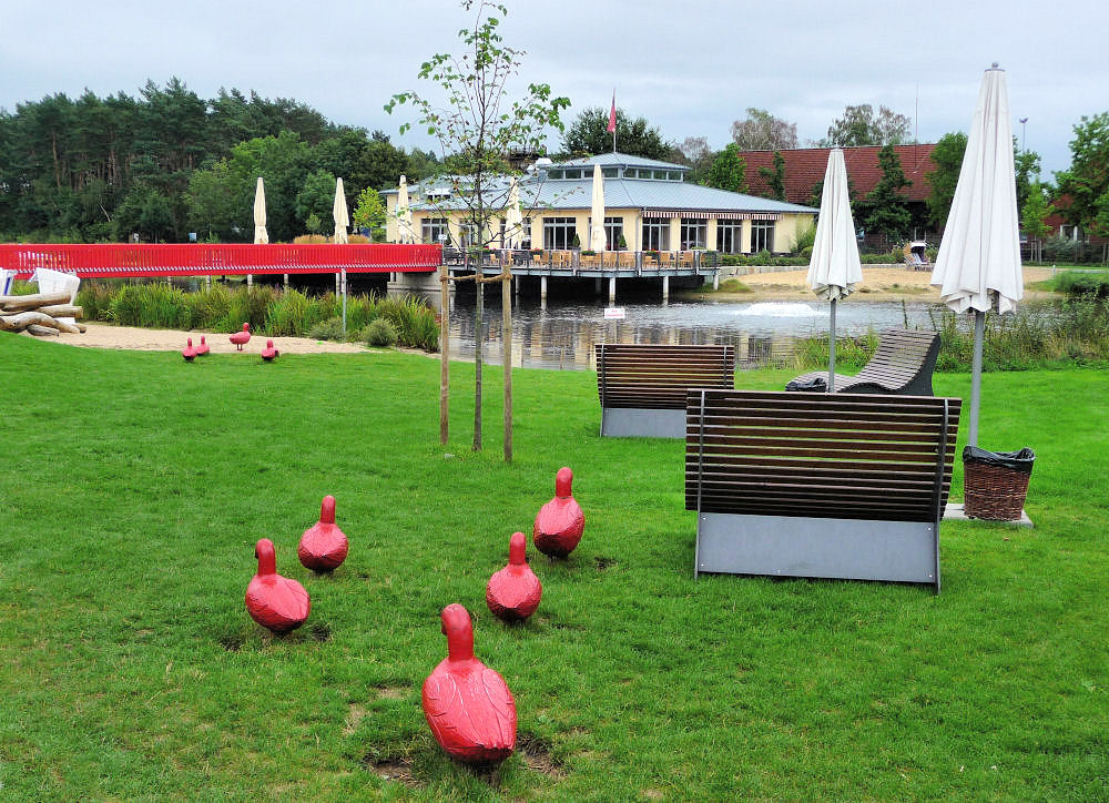 Rote Enten in Rietberg