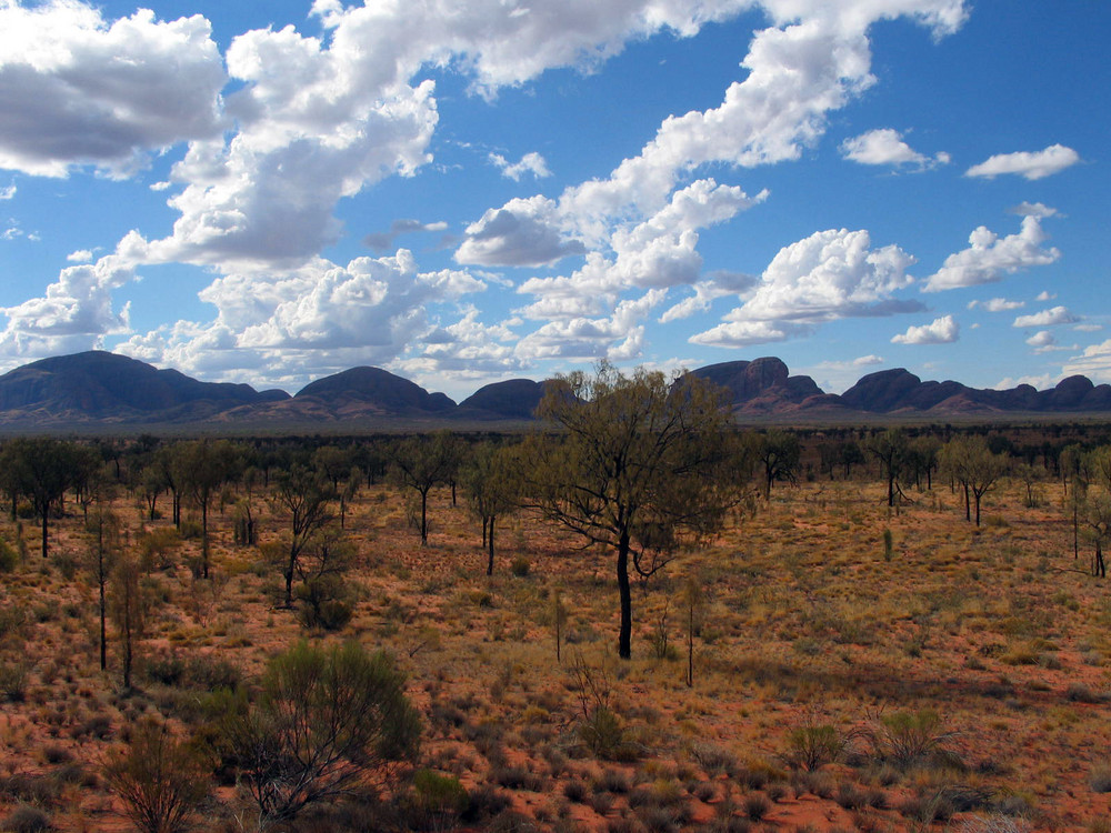 Rote Erde Australiens