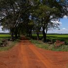 Rote Erde in Argentinien