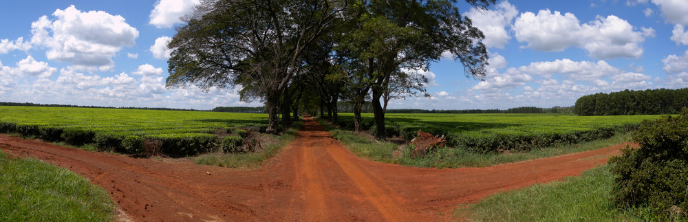 Rote Erde in Argentinien