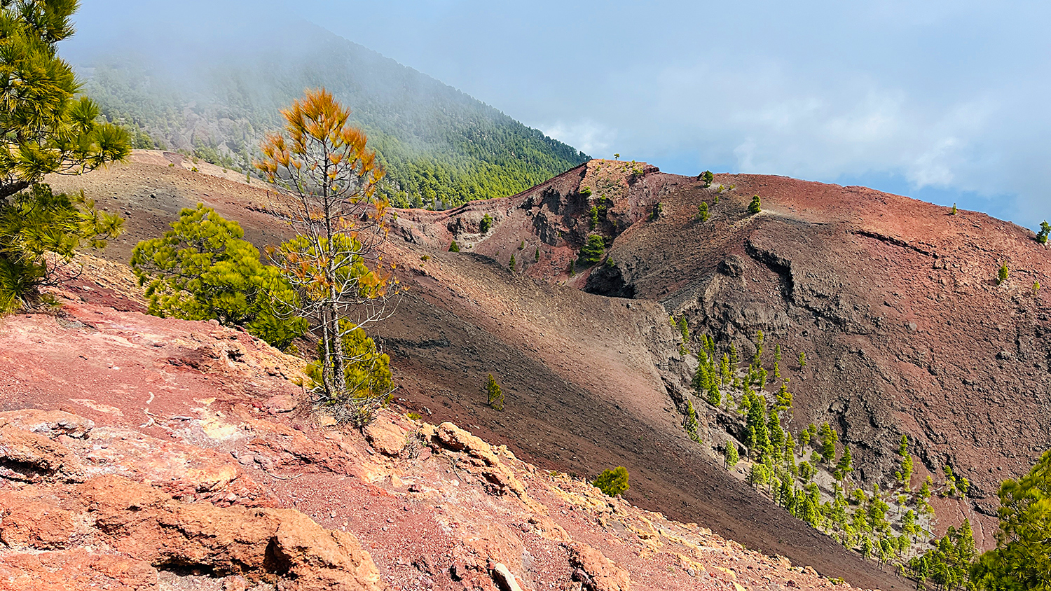 Rote Erde La Palma