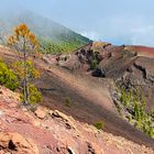 Rote Erde La Palma