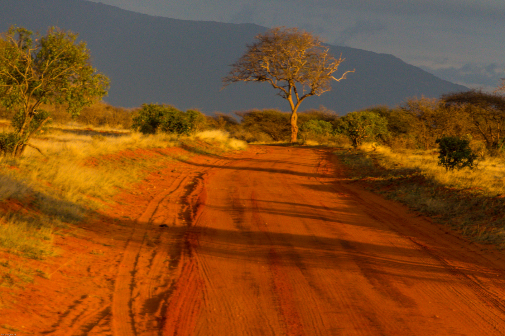 Rote Erde Tsavo Ost