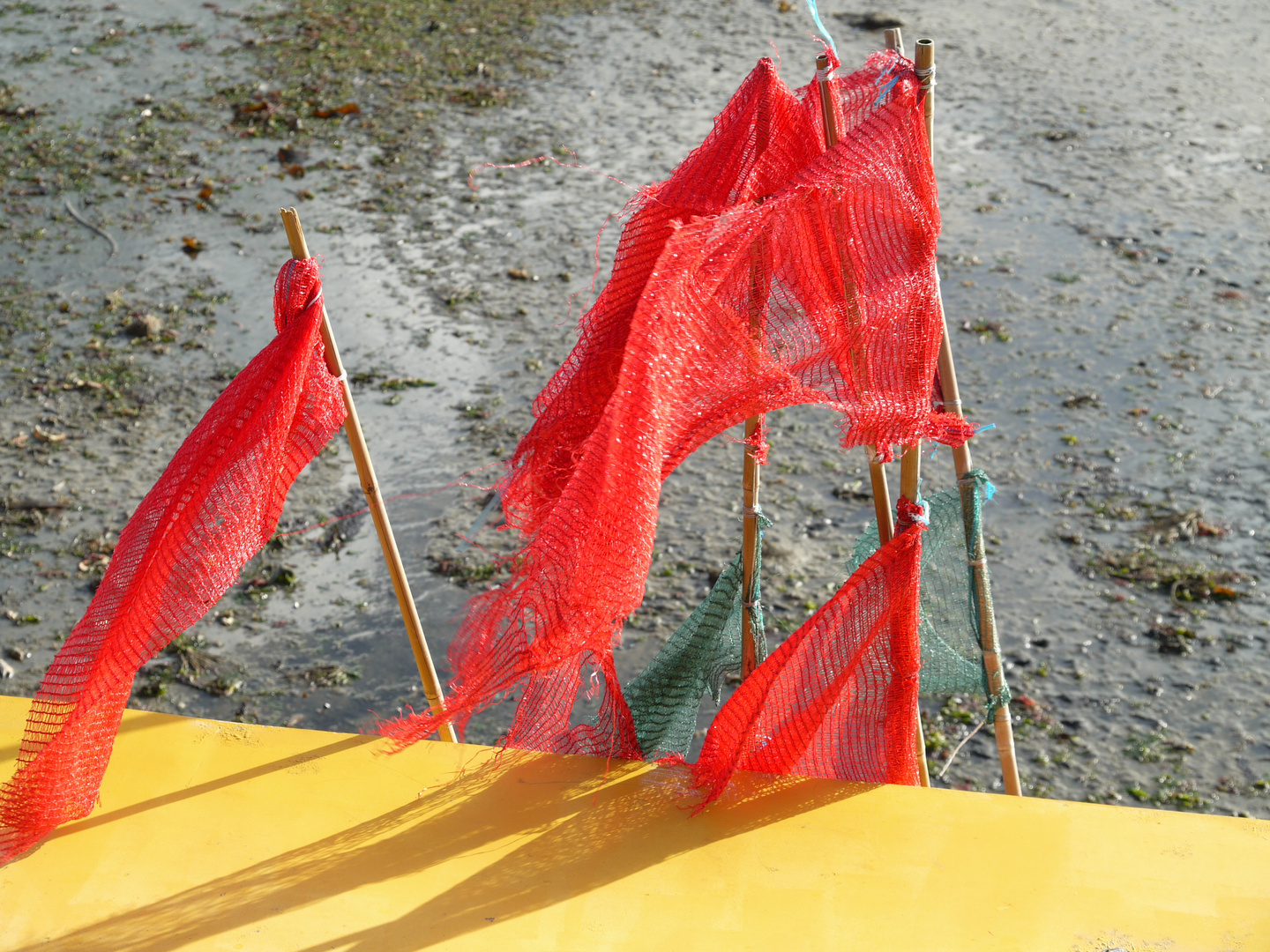 rote fahnen