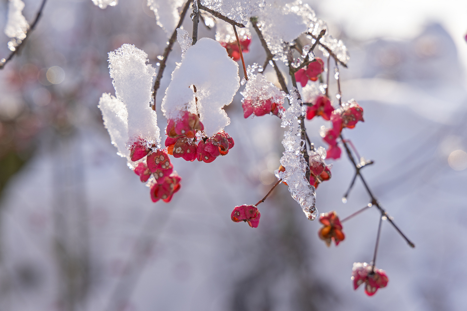 rote Farbtupfer