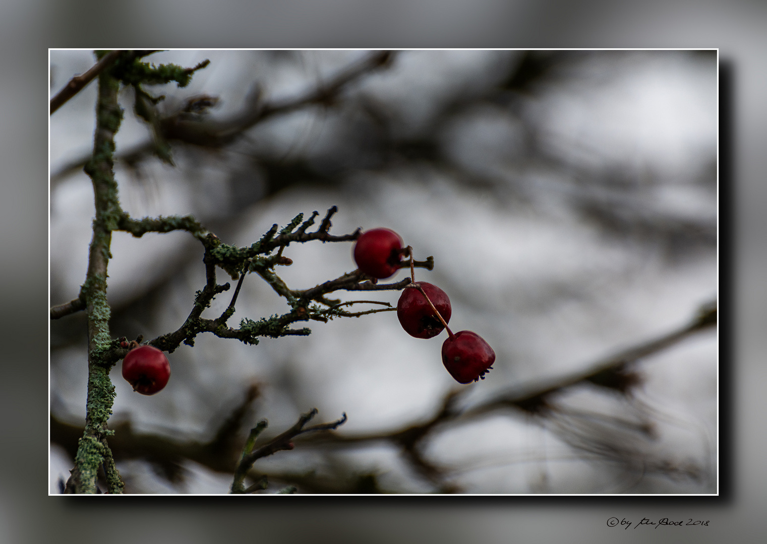 Rote Farbtupfer und Lyrik