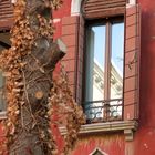 rote Fassade mit Fensterspiegelung in Venedig