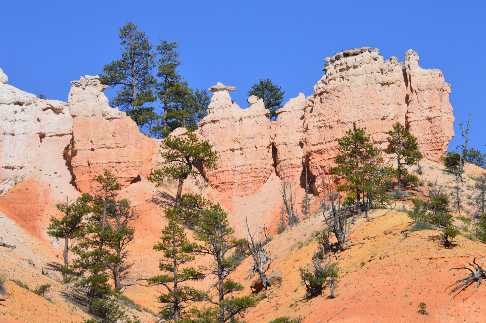 Rote Felsen