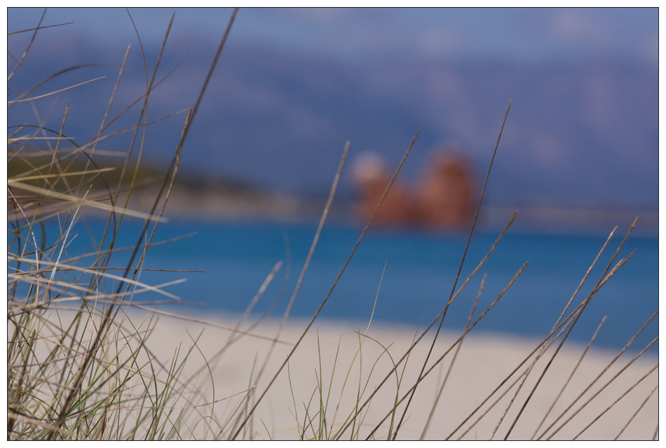 rote felsen an gras