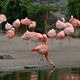 Tierpark Hagenbeck