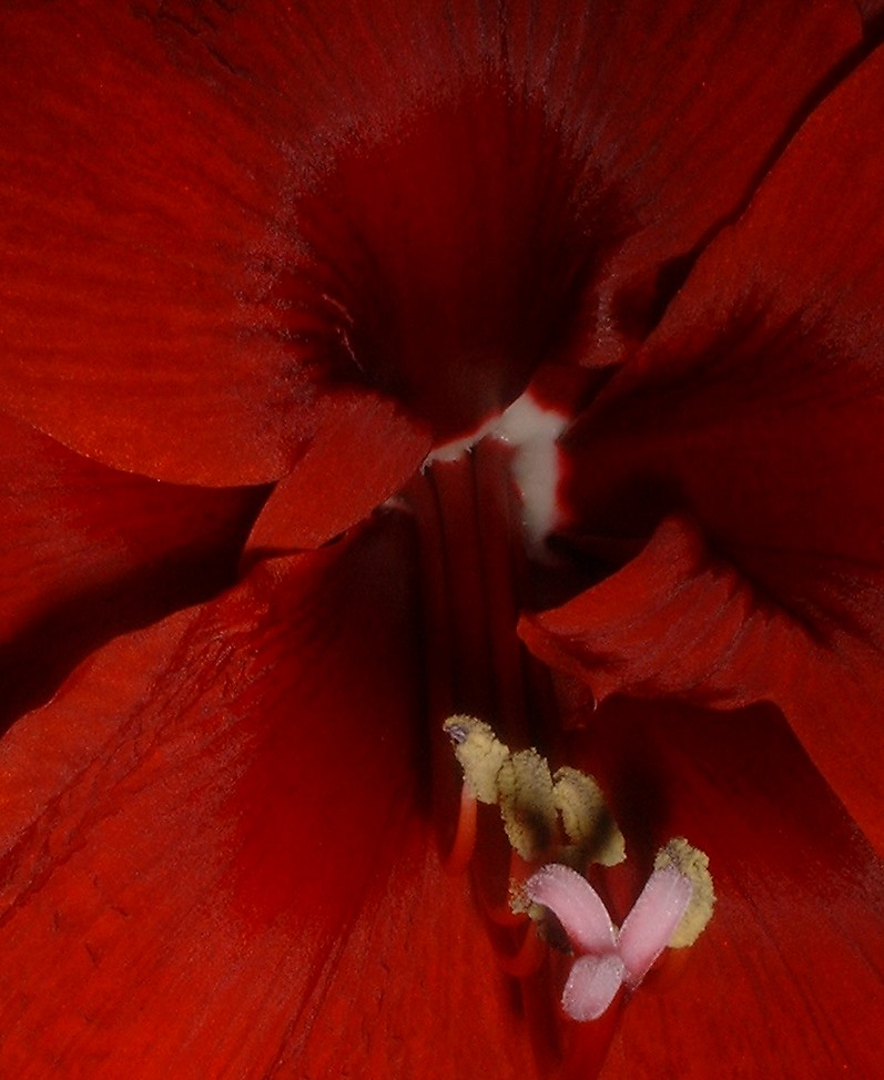 rote Grotte! von Gudrun Mandel