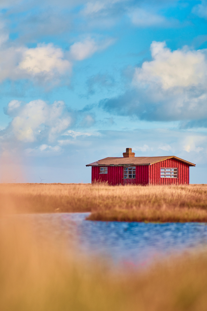 Rote Hütte am Limfjord