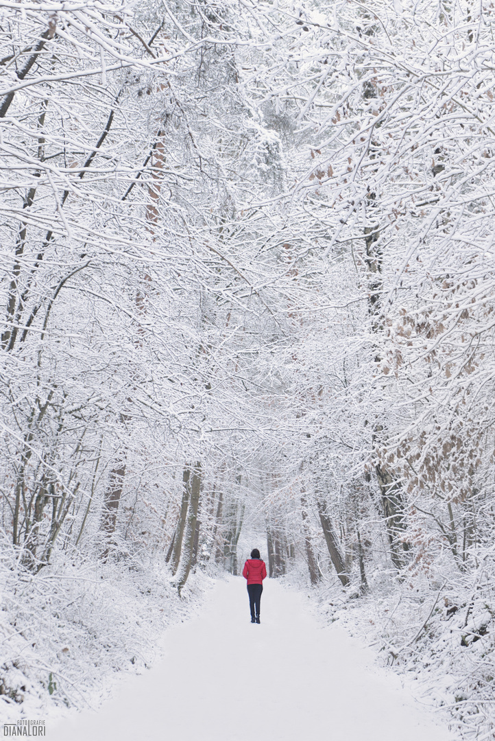 Rote Jacke