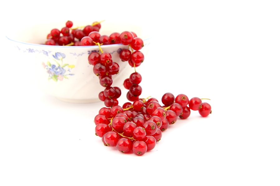 Rote Johannisbeeren