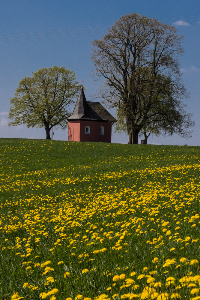 Rote Kapelle / Friesenhagen