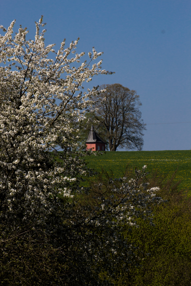 Rote Kapelle im Frühling / Friesenhagen