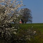Rote Kapelle im Frühling / Friesenhagen