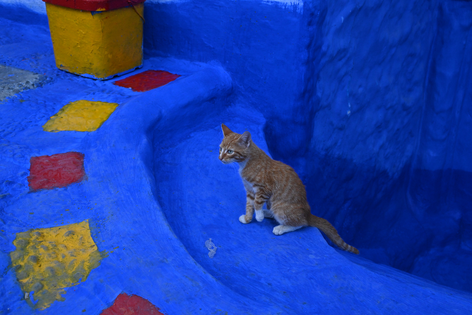 Rote Katze in blauer Stadt