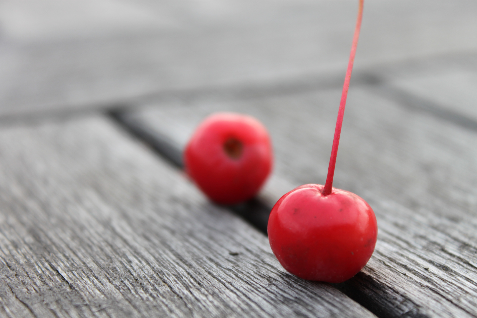 Rote Kirschen