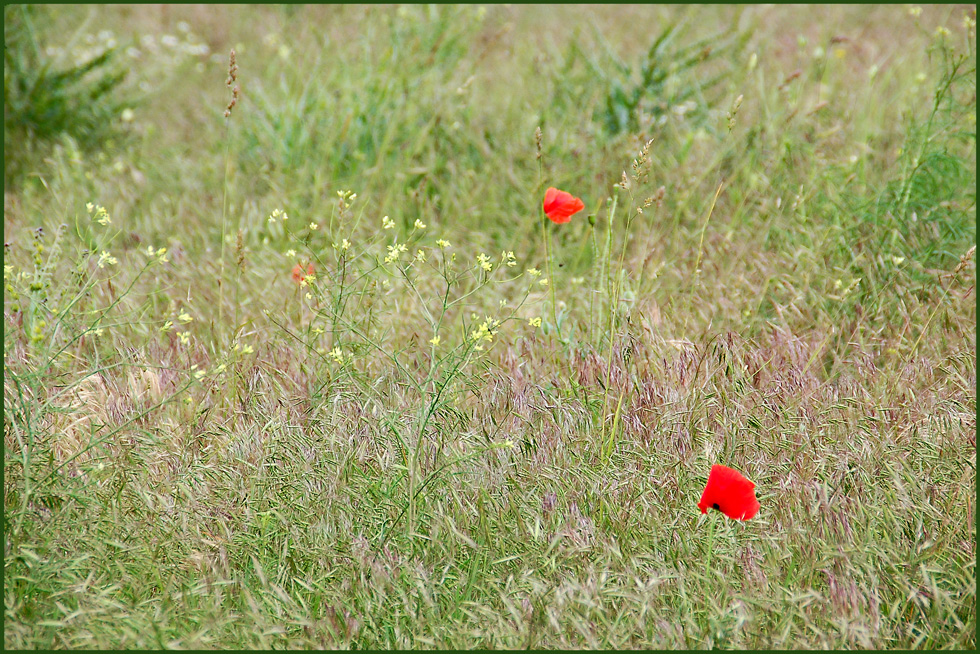 Rote Kleckse...