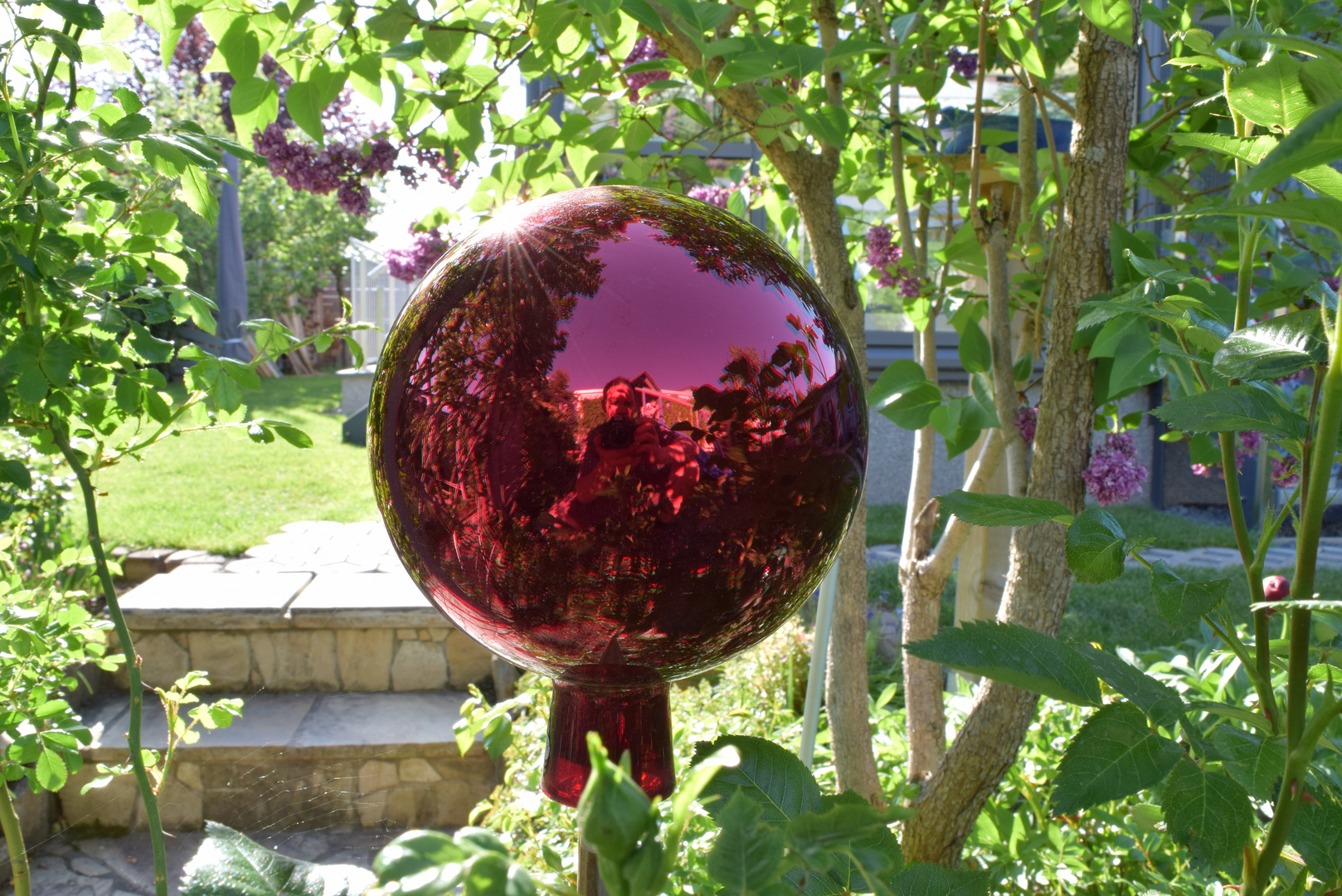 Rote Kugel im Garten