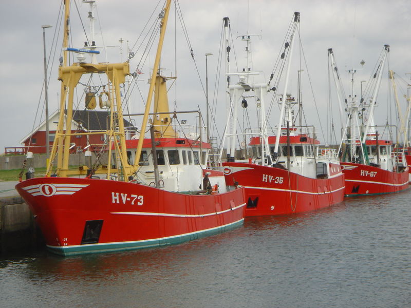 Rote Kutter Römö Hafen