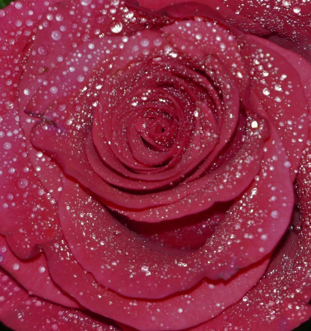 rote Liebe mit 1000 Diamanten...