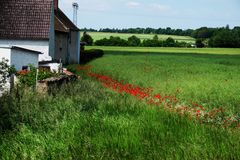 rote Linie