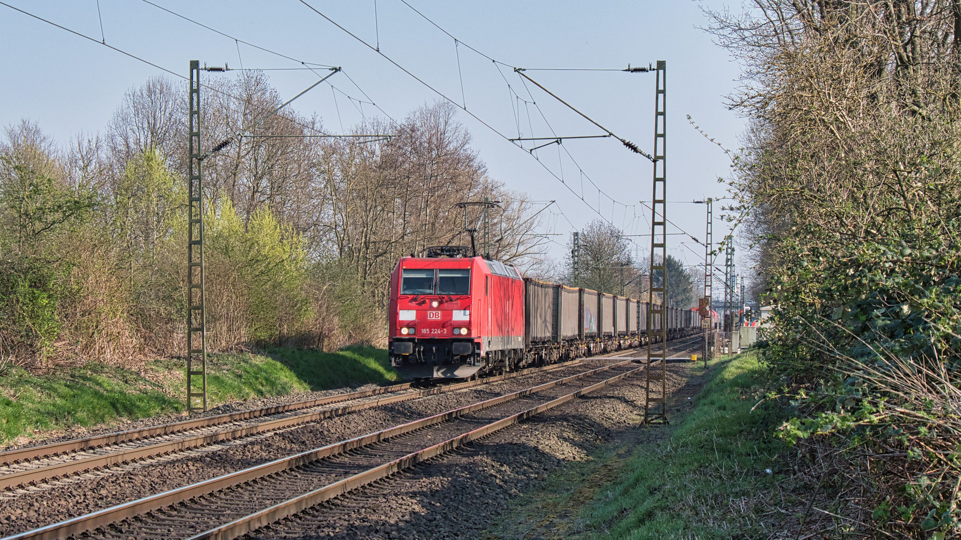 Rote Loks bei Kaarst (3)