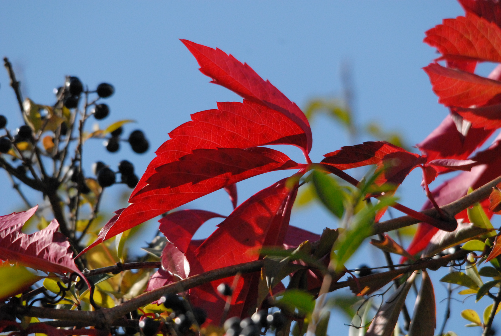 Rote Oktober