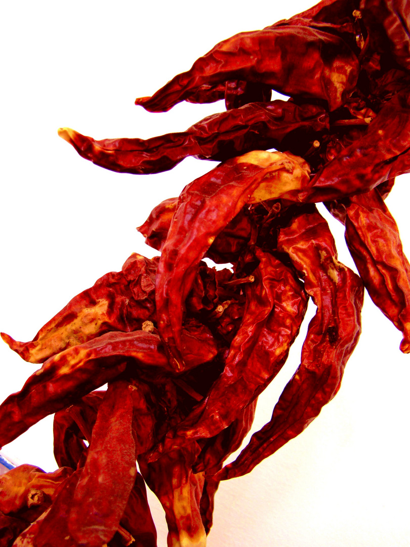 Rote Paprika