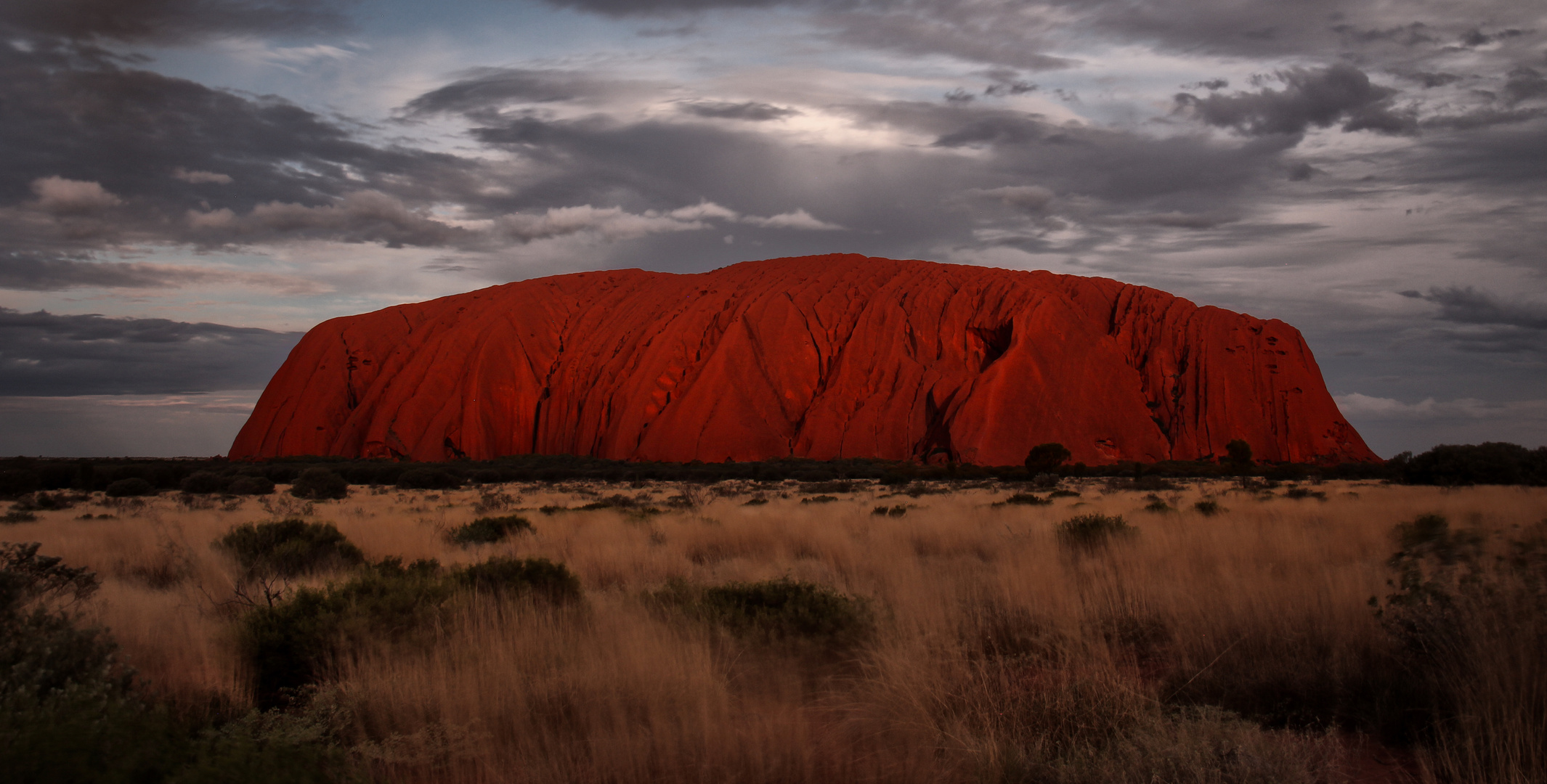 Rote Perle im Outback