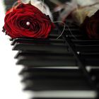Rote Rose auf einem Klavier