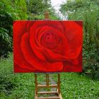 *Rote Rose*