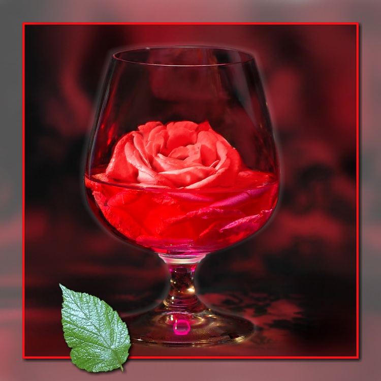 Rote Rose - grüne Minze