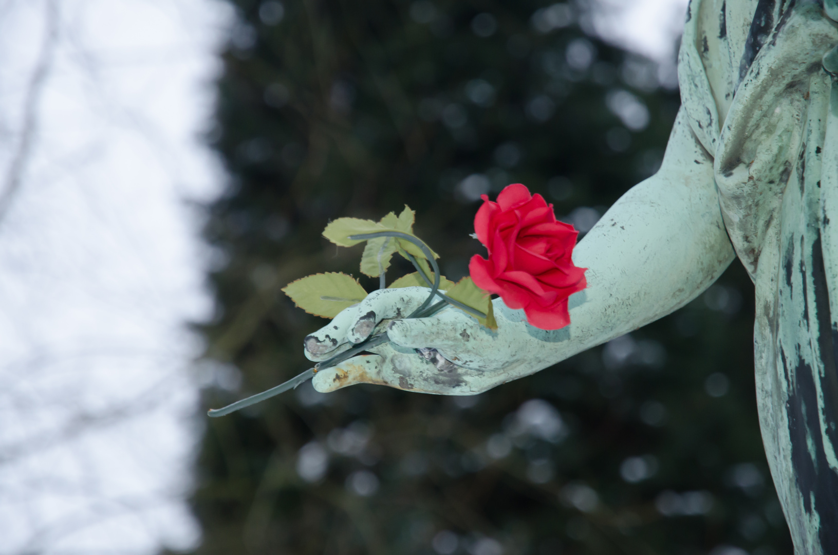 Rote Rose in der Hand des Blauen Engels