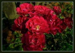 Rote Rosen 2