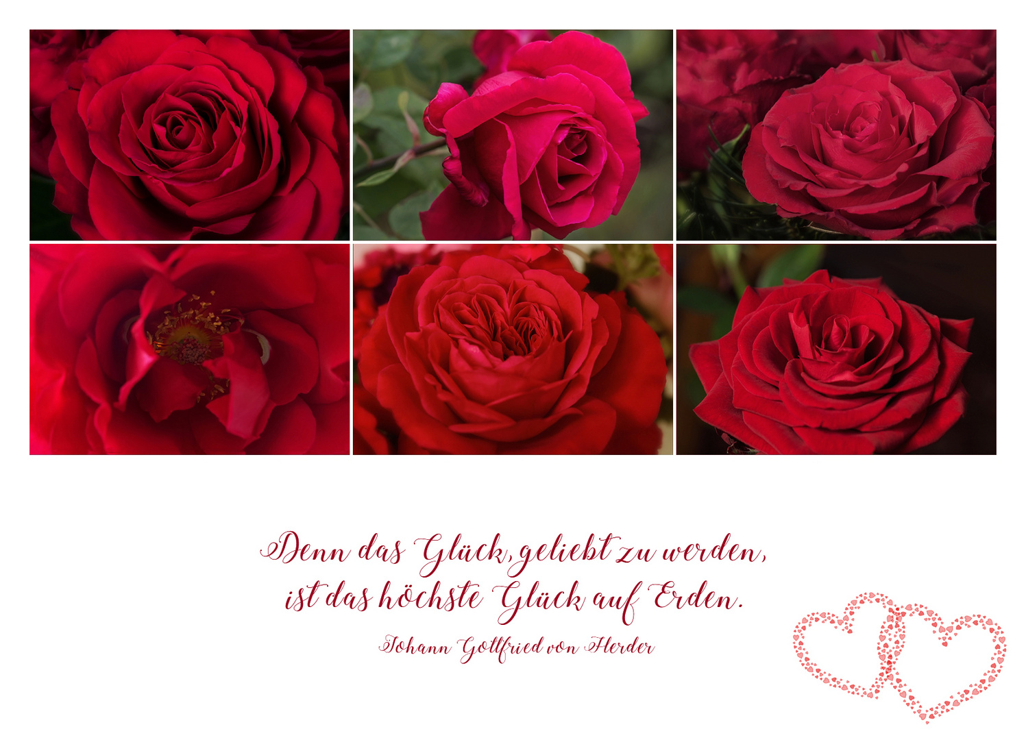 Rote Rosen....