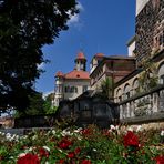 Rote Rosen am Schloss Waldenburg