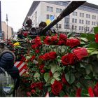 Rote Rosen auf dem Panzerwrack