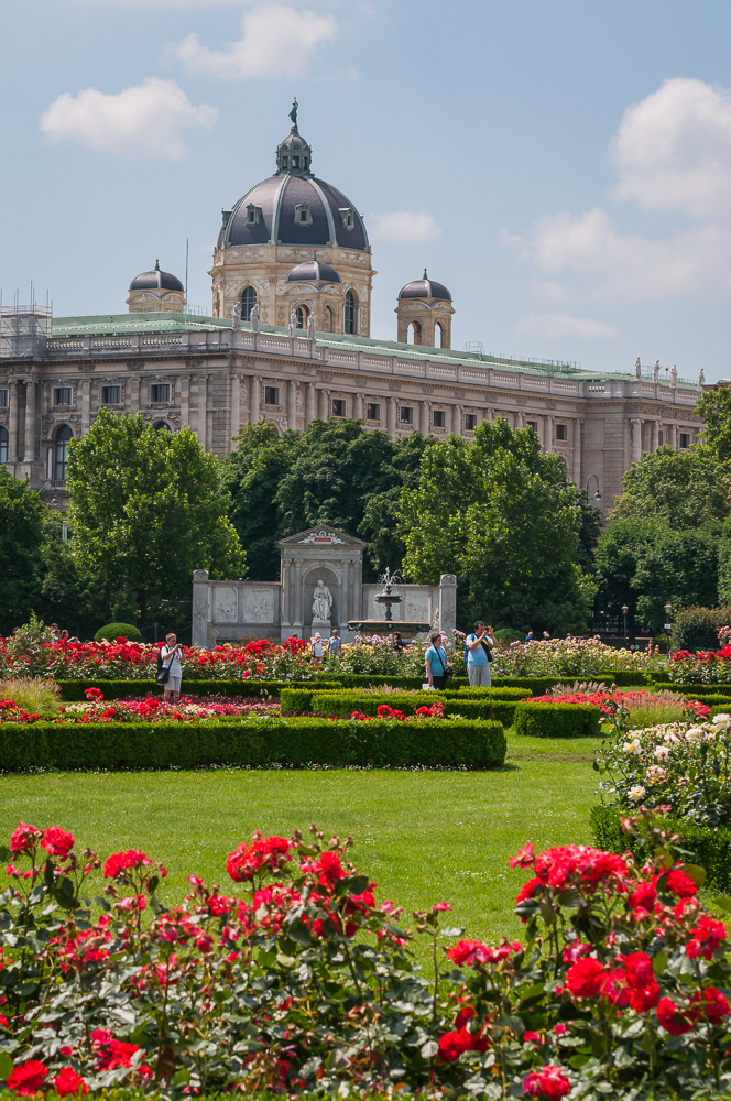 Rote Rosen im Volksgarten