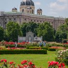 Rote Rosen im Volksgarten