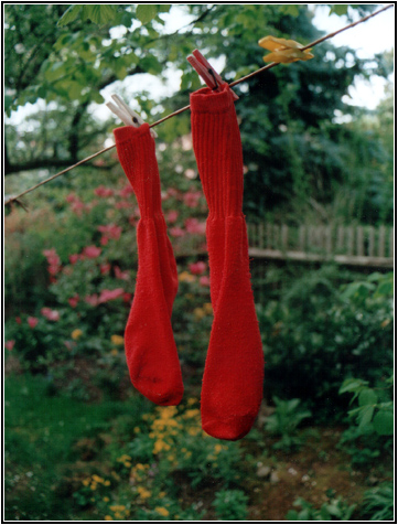 Rote Socke