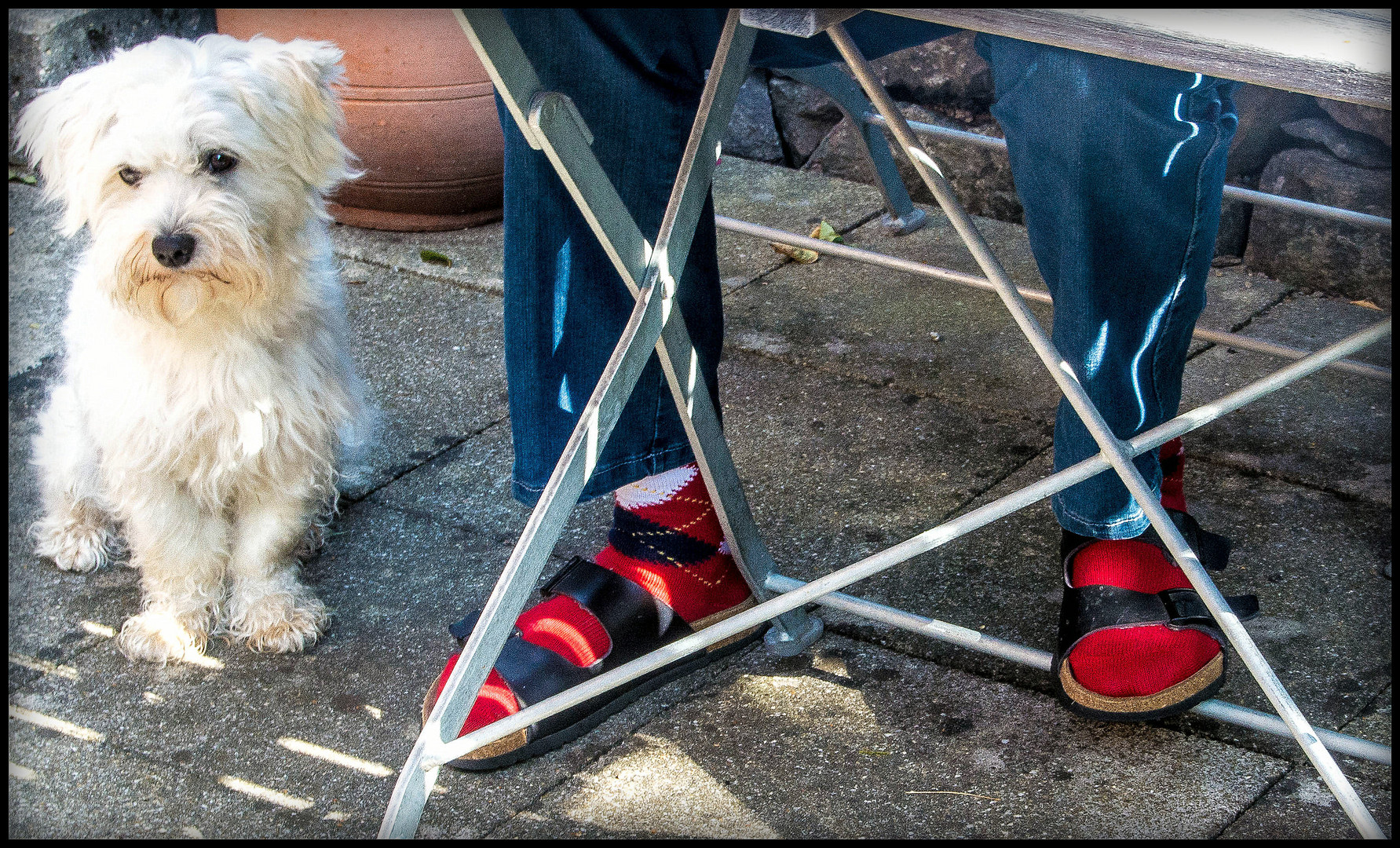 rote Socken