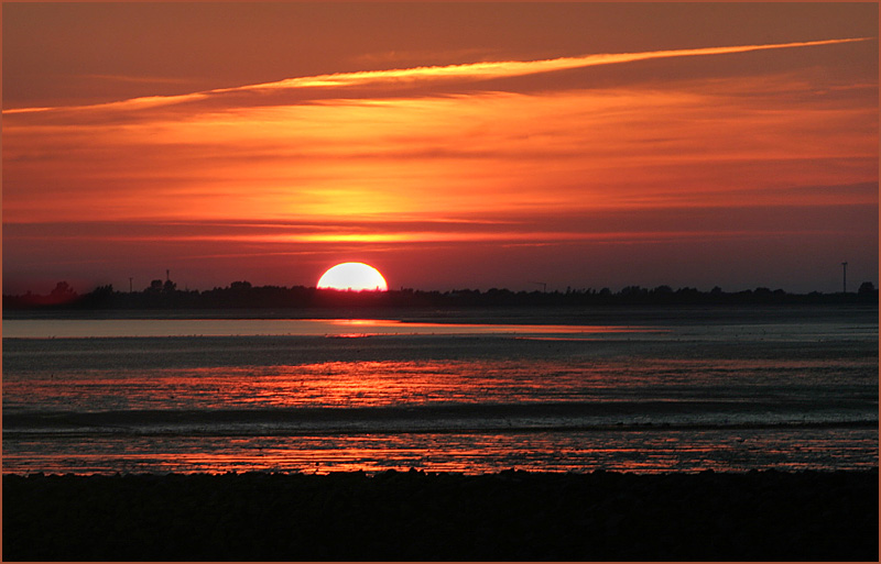 rote Sonne von Regina D-Tiedemann